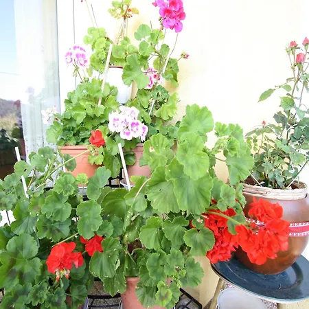 In Liebetig Near Gerlitzen Area *